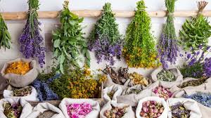 Medicinal herb & powder