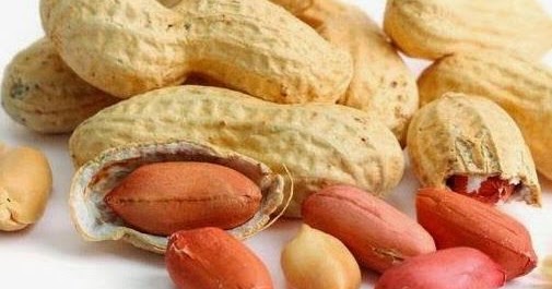 Groundnut