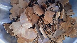 Ground nut oil seed cake