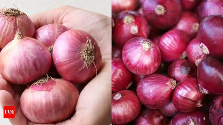 premium quality onion