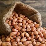 Cold-Pressed Groundnut Oil