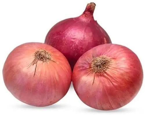 SUPER  SIZE ONION